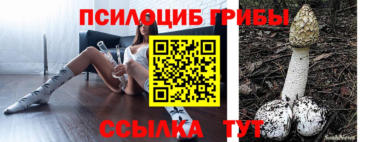 где купить наркоту  Вход с VPN  Лобня  Псилоцибиновые грибы прущие грибы  Галлюциногенные грибы Psilocybine cubensis 